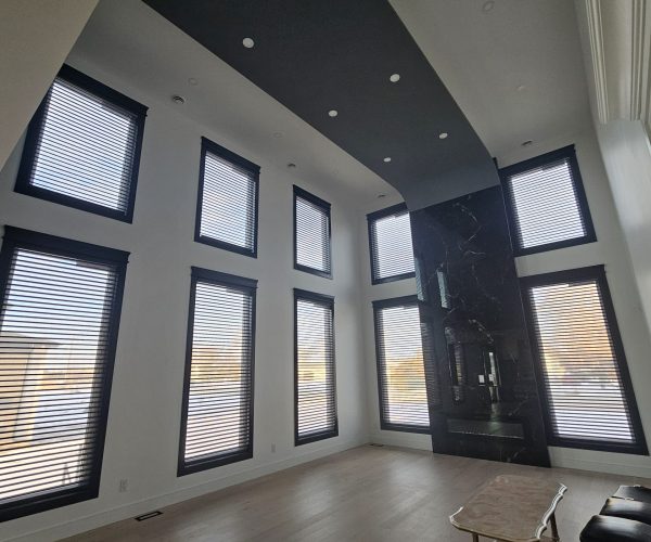 Thriple shade Image of window treatments with blinds and curtains from We Blinds, offering personalized home solutions.